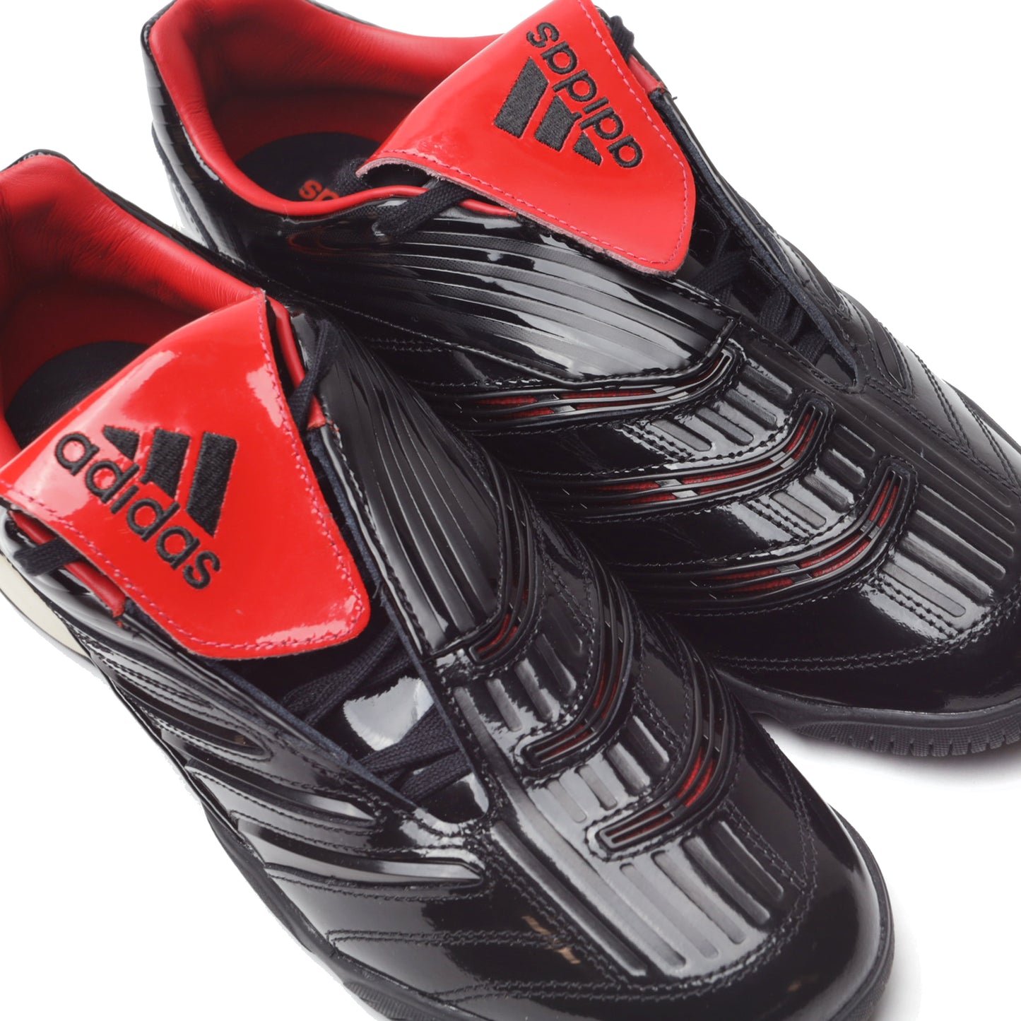 PREDATOR SALA - Saint Alfred