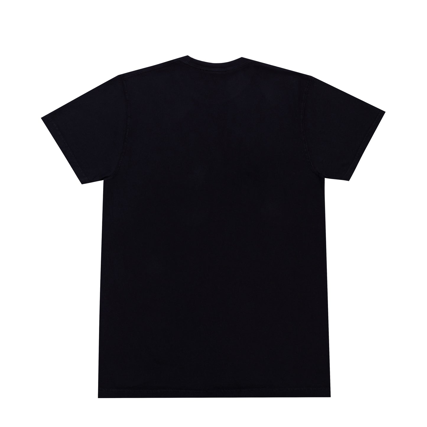 PLSBLV SHORT SLEEVE TEE